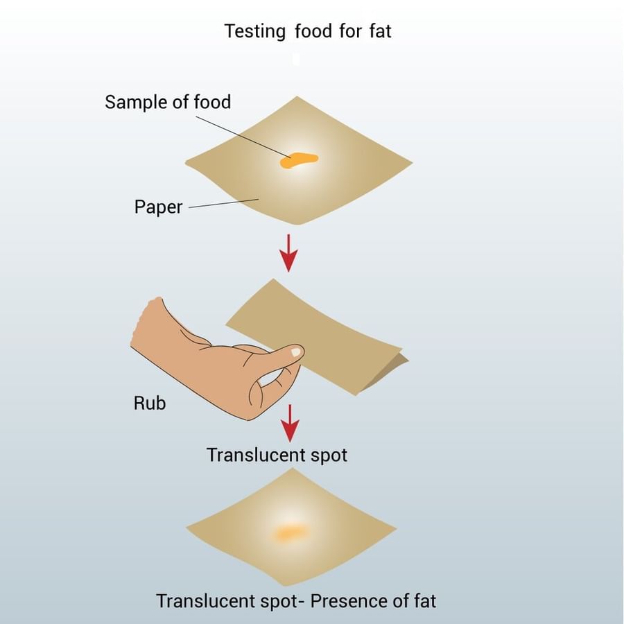 Chapter Notes: Mindful Eating: A Path to a Healthy Body