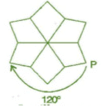NCERT Solutions for Class 8 Maths - Symmetry- 2