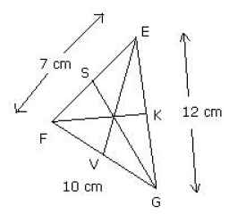CBSE Sample Paper Solutions 1 Term 1 - Class 7 Maths