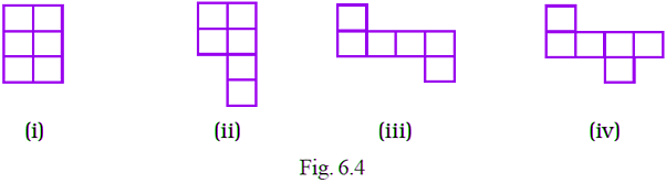 NCERT Exemplar Solutions: Mensuration | Mathematics (Maths) Class 6