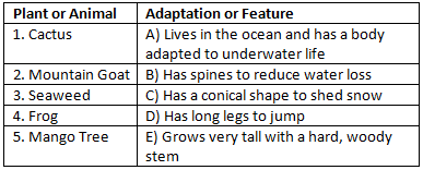 Worksheet: Diversity in the Living World