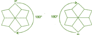 NCERT Solutions for Class 8 Maths - Symmetry- 2