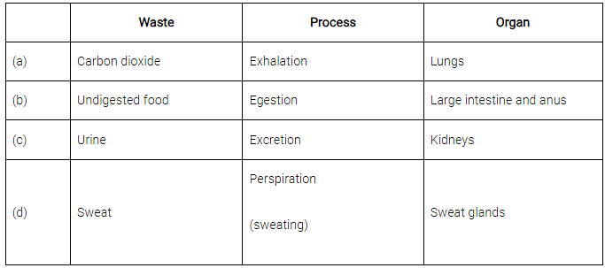 Class 7 Science Chapter 7 HOTS Questions - Transportation in Animals and Plants