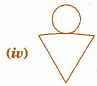 NCERT Solutions: Visualising Solid Shapes- 1 Notes | Study Mathematics (Maths) Class 7 - Class 7