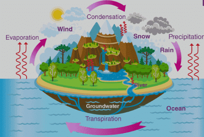 Water Cycle Diagram For Class 7