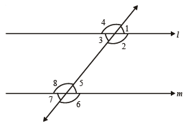 Lines and Angles Class 7 Worksheet Maths Chapter 6