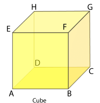 Short and Long Question: Visualising Solid Shapes | Short & Long Answer Questions for Class 7