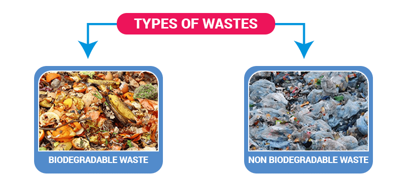 Waste And Sources of Waste, (Class 6) PDF Download