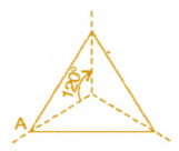 NCERT Solutions for Class 8 Maths - Symmetry- 2