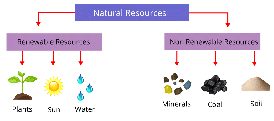 Chapter Notes: Nature’s Treasures