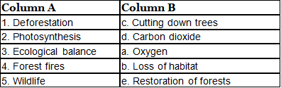 Worksheets With Solutions: Forest: Our Lifeline Class 7 Worksheet