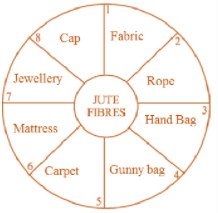 NCERT Exemplar Solutions: Fibre to Fabric | Advance Learner Course: Science Class 5