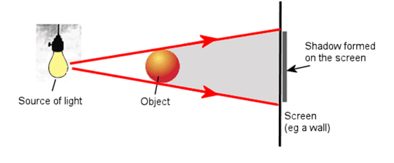 Mcqs And Extra Question: Light, Shadows And Reflections - Science Class 