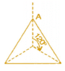 NCERT Solutions for Class 8 Maths - Symmetry- 2