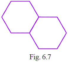 NCERT Exemplar Solutions: Mensuration | Mathematics (Maths) Class 6