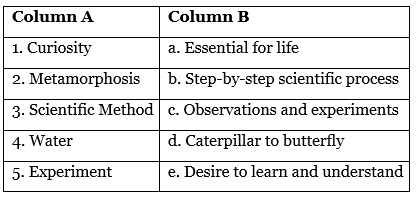 Worksheet Solutions: The Wonderful World of Science