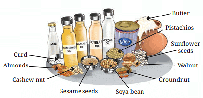 Sources of Fats