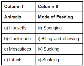 NCERT Exemplar Solutions: Nutrition in Animals Notes | Study Science Class 7 - Class 7