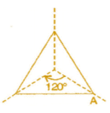 NCERT Solutions for Class 8 Maths - Symmetry- 2