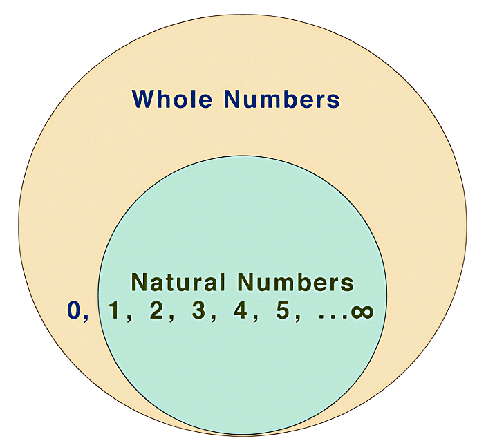 Olympiad Notes: Whole Numbers | Maths Olympiad Class 6
