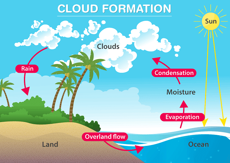 A Journey through States of Water Chapter Notes | Science Class 6