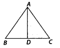 NCERT Exemplar Solutions: Triangles | Mathematics (Maths) Class 7