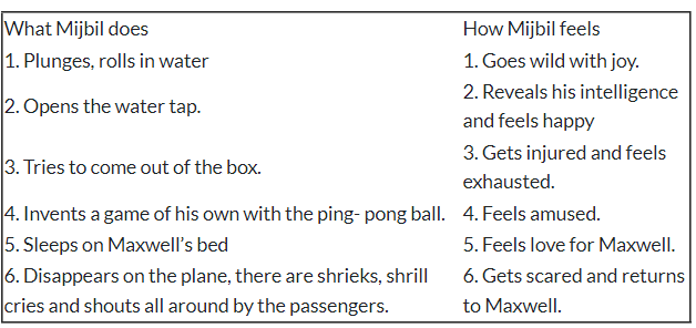Mijbil the Otter NCERT Solutions - Class 10 PDF Download