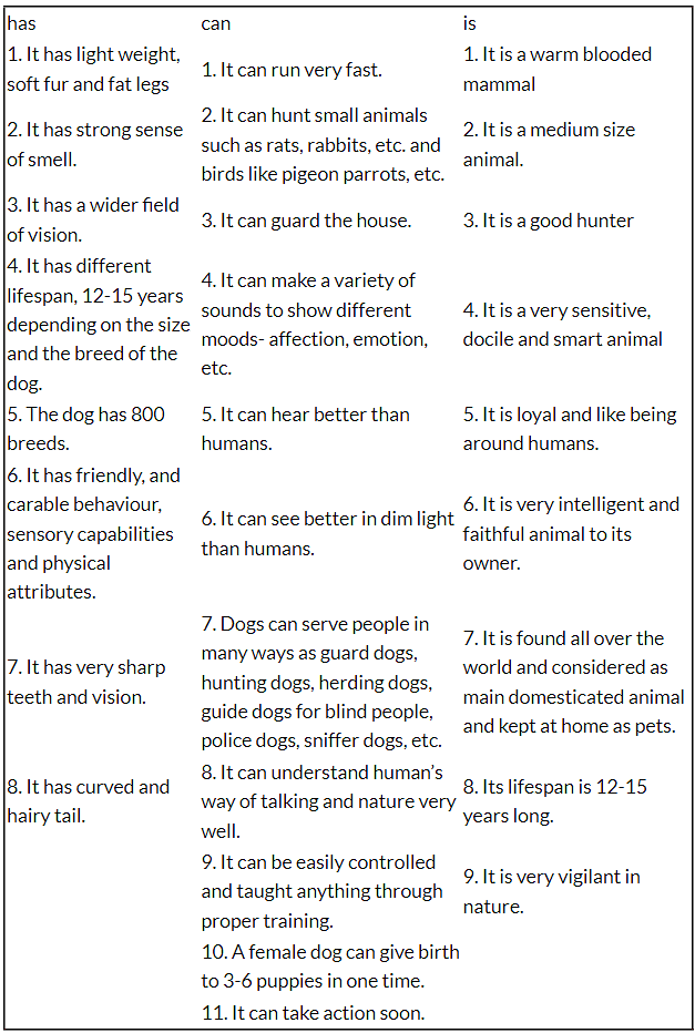 Mijbil the Otter NCERT Solutions - Class 10 PDF Download