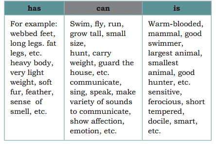 Mijbil the Otter NCERT Solutions - Class 10 PDF Download