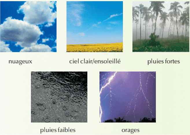 Les Saisons NCERT Solutions | French for Class 9