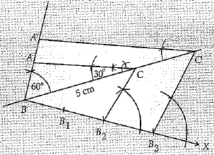 Class 10 Mathematics: CBSE Sample Question Paper (2019-20) - 3 | CBSE Sample Papers For Class 10