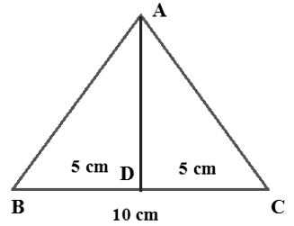 Heron’s Formula Class 9 Notes Maths Chapter 10