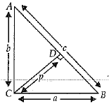 Class 10 Mathematics: CBSE Sample Question Paper (2019-20) - 6 | CBSE Sample Papers For Class 10