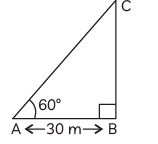 Class 10 Maths Chapter 9 Previous Year Questions - Some Application of Trigonometry