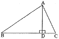Class 10 Mathematics: CBSE Sample Question Paper (2019-20) - 3 | CBSE Sample Papers For Class 10