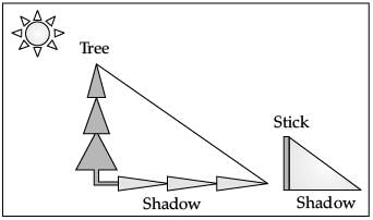 Class 10 Mathematics: CBSE Sample Question Paper (2020-21) (Standard) - 1 | CBSE Sample Papers For Class 10