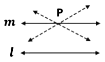 Introduction to Euclid`s Geometry Chapter Notes | Mathematics (Maths) Class 9
