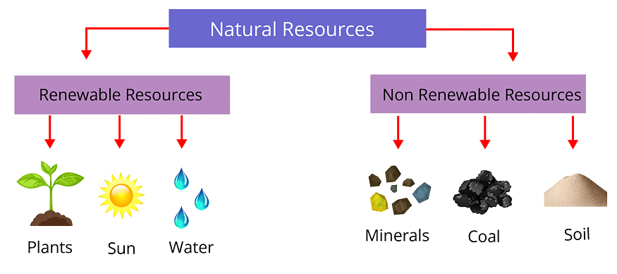 What is Natural Resource? - General Knowledge Encyclopedia - Class 8 ...