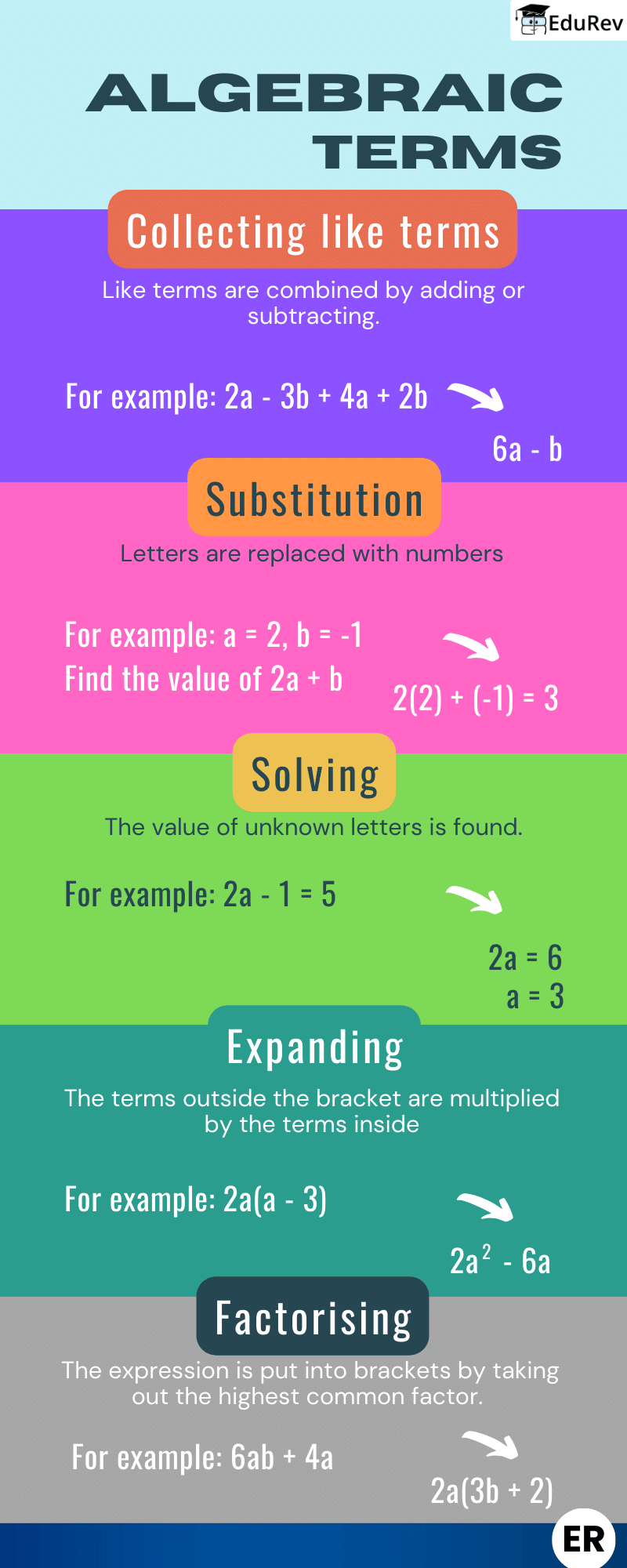 Infographics: Algebric Terms - Mathematics (Maths) Class 8 PDF Download