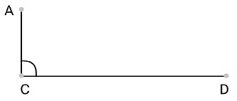 Class 9 Maths Chapter 5 Previous Year Questions - Introduction to Euclid`s Geometry