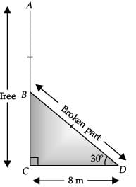 Class 10 Mathematics: CBSE Sample Question Paper (2020-21) (Standard) - 4 | CBSE Sample Papers For Class 10