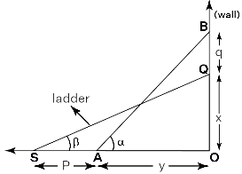 NCERT Exemplar: Introduction to Trigonometry | Mathematics (Maths) Class 10