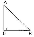 Class 10 Mathematics: CBSE Sample Question Paper (2019-20) - 2 | CBSE Sample Papers For Class 10