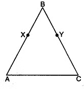 Class 9 Maths Chapter 5 Previous Year Questions - Introduction to Euclid`s Geometry