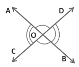 Lines and Angles Class 9 Notes Maths Chapter 6