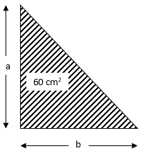 RS Aggarwal Solutions: Perimeter and Area of Plane Figures- 1 | RS Aggarwal Solutions for Class 10 Mathematics