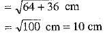 Class 10 Mathematics: CBSE Sample Question Paper (2019-20) - 6 | CBSE Sample Papers For Class 10