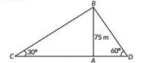 Class 10 Maths Chapter 9 Previous Year Questions - Some Application of Trigonometry