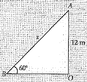 Class 10 Mathematics: CBSE Sample Question Paper (2019-20) - 5 | CBSE Sample Papers For Class 10
