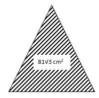 RS Aggarwal Solutions: Perimeter and Area of Plane Figures- 1 | RS Aggarwal Solutions for Class 10 Mathematics